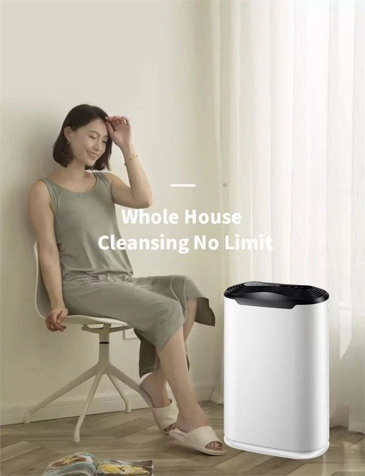BKJ-215C Silent Mode Air Purifier HEPA Carbon Filters