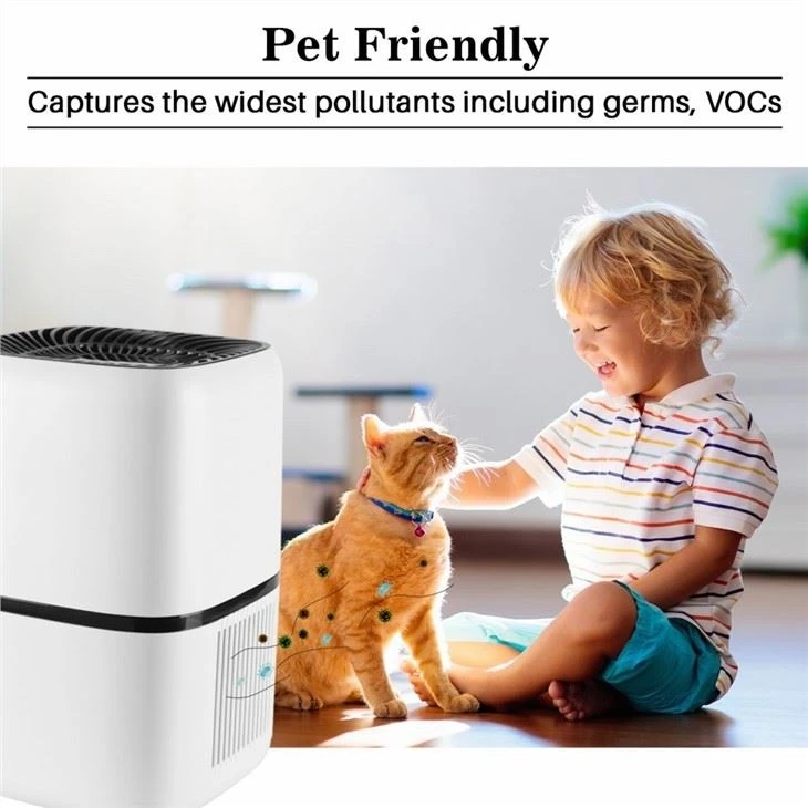 Desktop Air Purifier China OEM Factory Supply