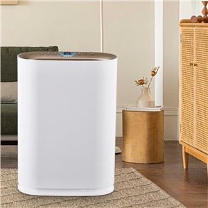 BKJ-300 Baby Healthcare Room Purificador de aire fresco