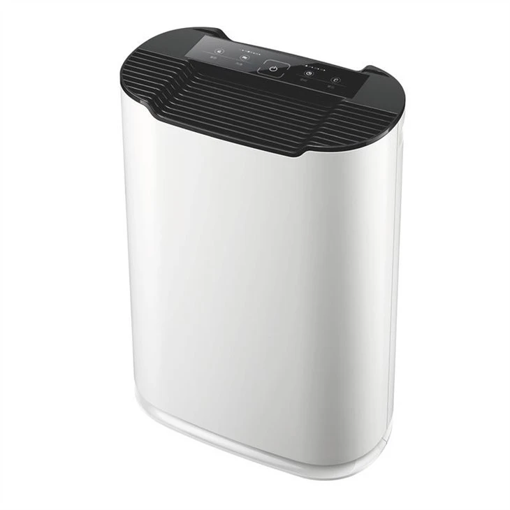 Timing Control Panel Air Purifier