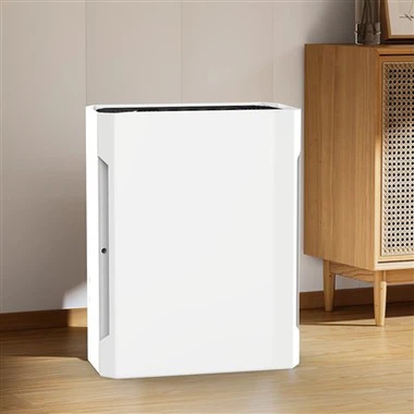 Purificador de aire pequeño y eficiente de gran venta BKJ-20B