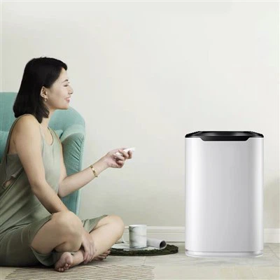 Purificador de aire aplicado para el hogar BKJ-215C en el medio ambiente
